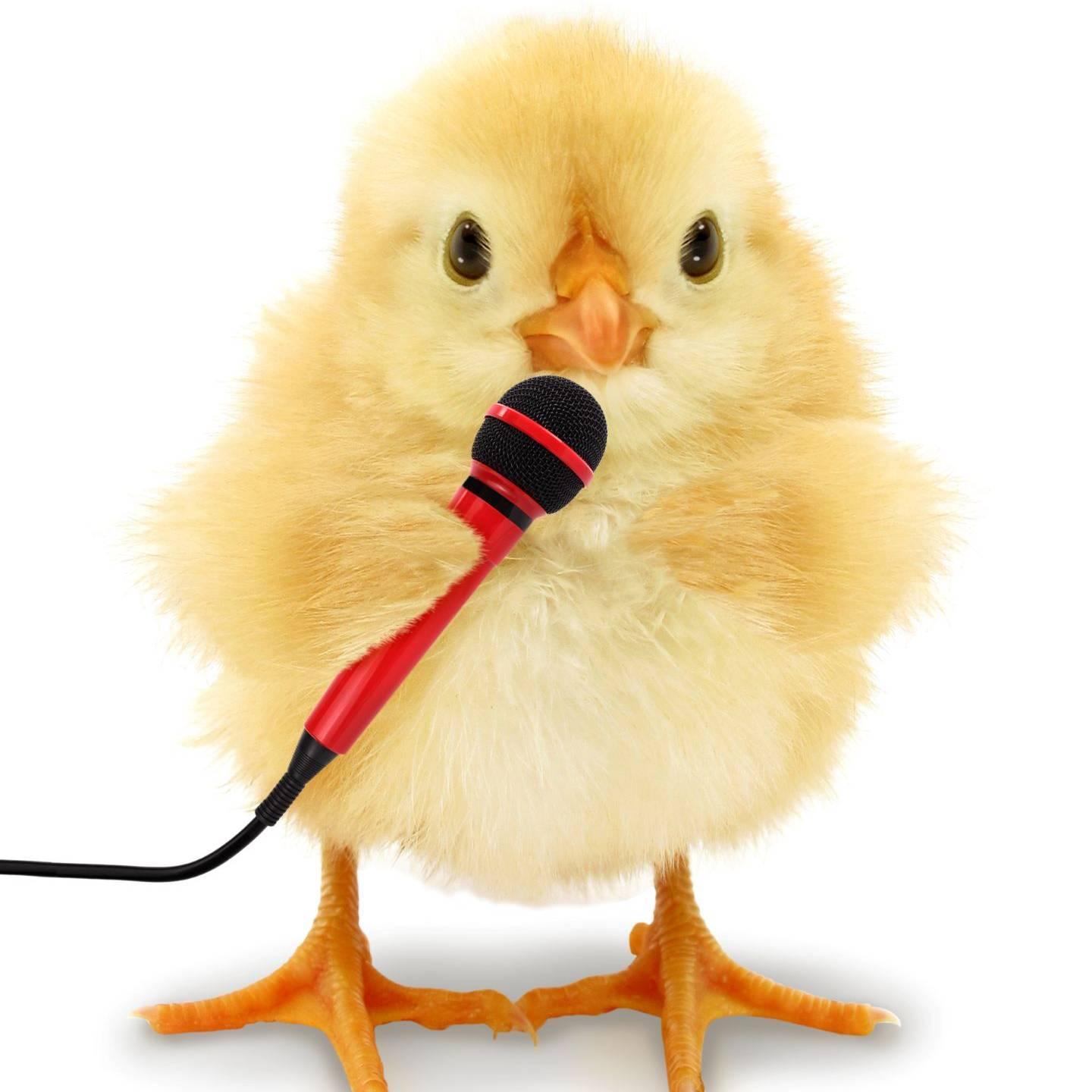 A chick with a microphone.
